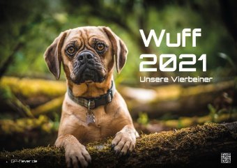 Kalender Der Hundekalender 2021 Unsere Vierbeiner Format: DIN A3 Wuff